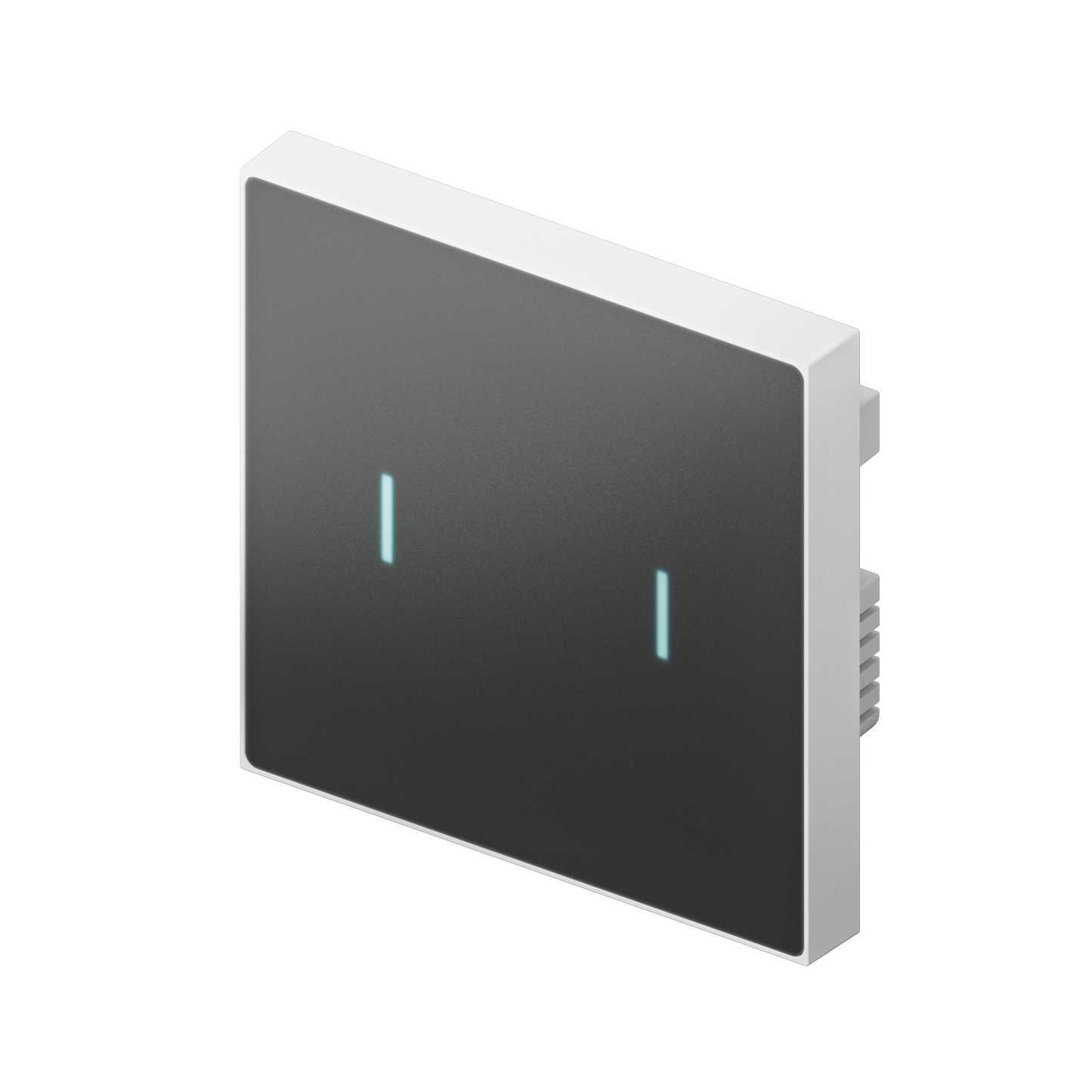 Nature Switch (MATTE) (Black AG Glass - White 2 way) LS220-WM2 My Store