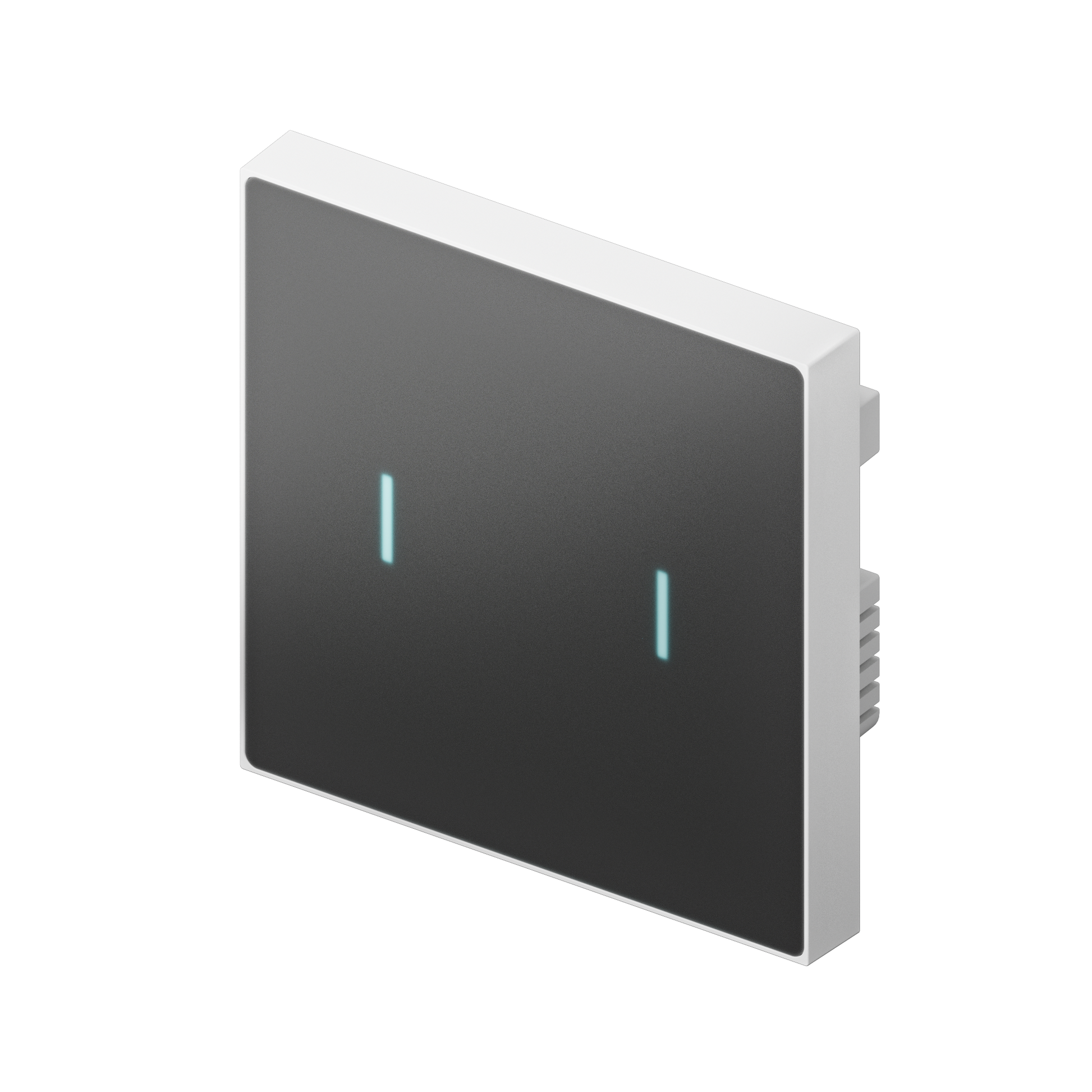 Nature Switch (MATTE) (Black AG Glass - White 2 way) LS220-WM2 My Store