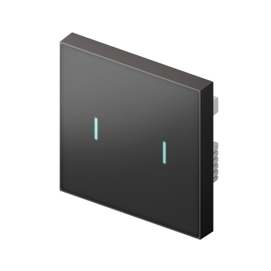 Nature Switch (MATTE) (Black AG Glass - Gray 2 way) LS220-GM2 My Store